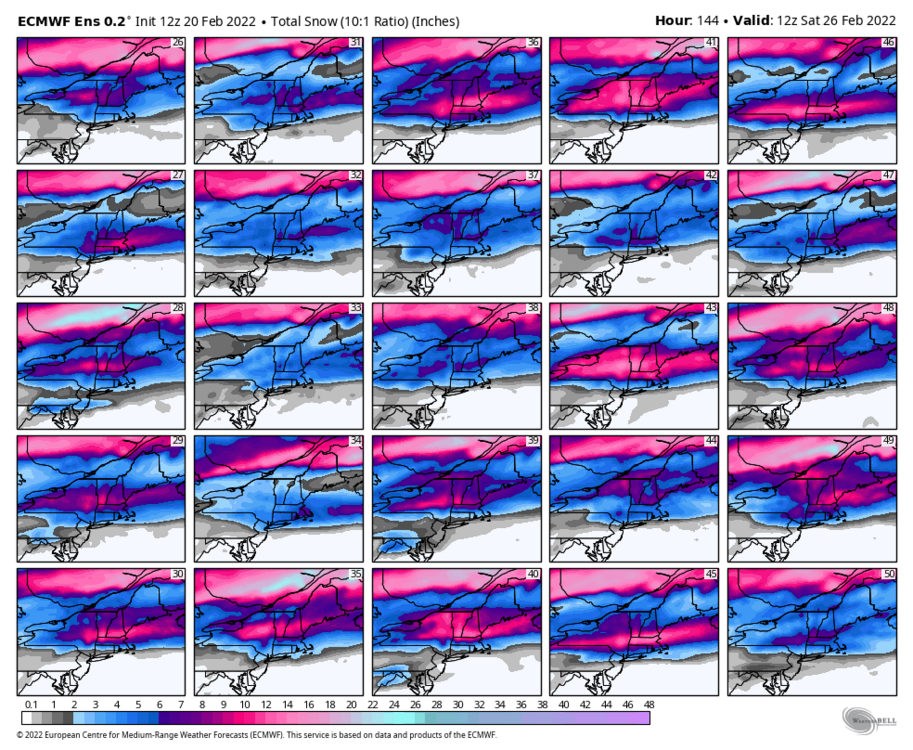 ecmwf-ensemble-avg-neng-snow_total_multimember_panel_ecmwf_b-5876800.thumb.png.01196ddbd830dbb6ca41a59358476209.png