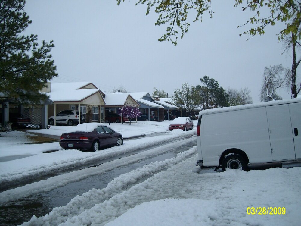 Snowstorm Tulsa 03282009 025.JPG