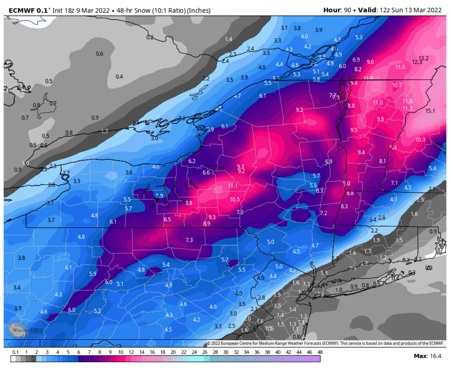 1960661148_ecmwf-deterministic-nystate-snow_48hr-7172800(1).thumb.png.ca0cda89bf23a75d40c8c2b0905f086a.png