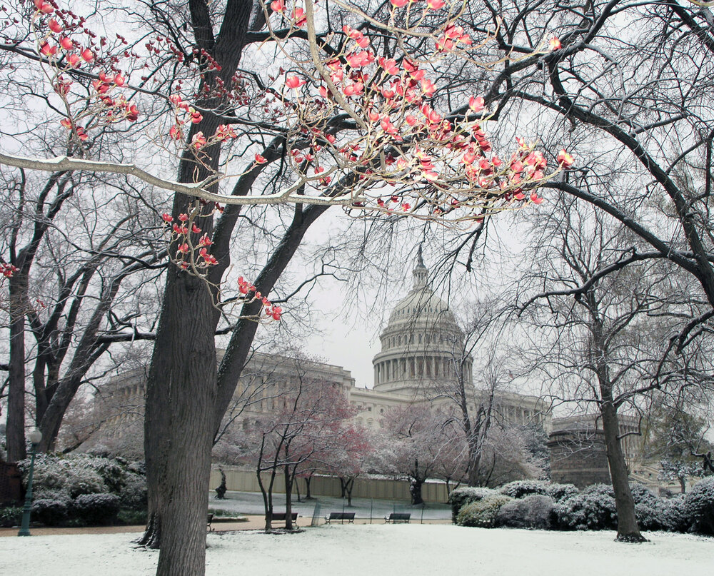 April7Snow.jpg