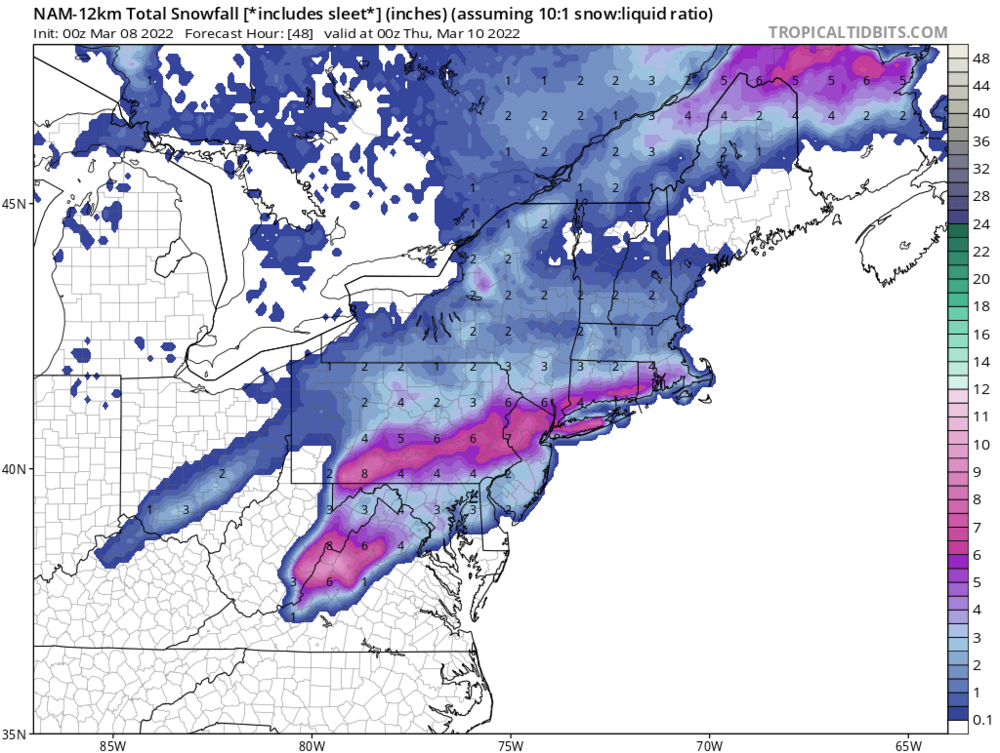 March8nam.png