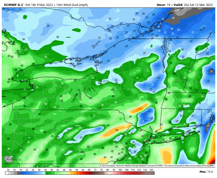 ecmwf-deterministic-nystate-gust_mph-7115200.thumb.png.202e0168fce3cf250159e467cffdfa21.png