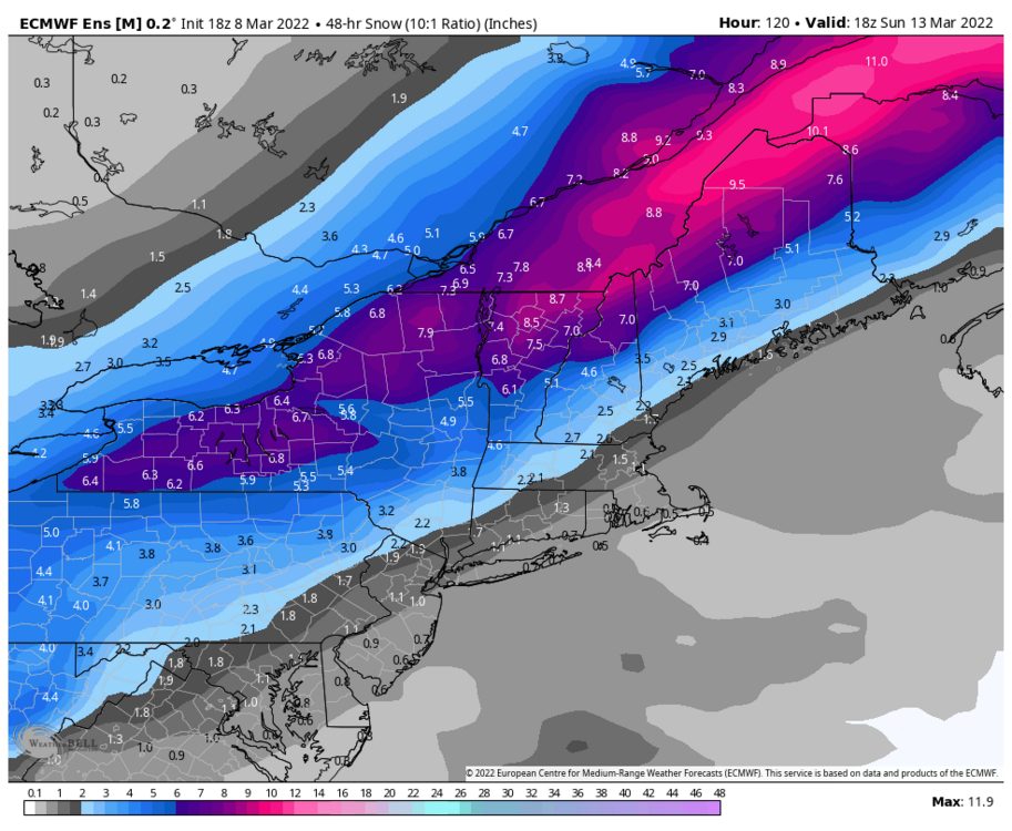 ecmwf-ensemble-avg-neng-snow_48hr-7194400.thumb.png.89d22936eff1ad68076ceff6f14a3fcc.png