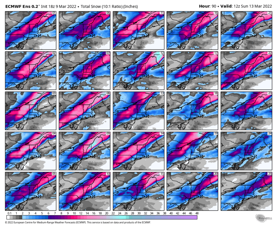 ecmwf-ensemble-avg-neng-snow_total_multimember_panel_ecmwf_a-7172800.thumb.png.d7bd496ce3a2d558642e62a9f486f150.png