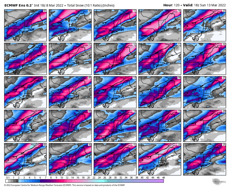 ecmwf-ensemble-avg-neng-snow_total_multimember_panel_ecmwf_a-7194400.thumb.png.f76a3a01d40d66081331694f481c8e82.png