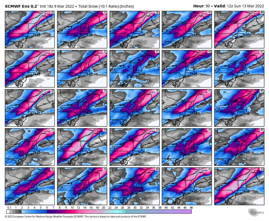 ecmwf-ensemble-avg-neng-snow_total_multimember_panel_ecmwf_b-7172800.thumb.png.2ab39fe8b5a0fbd5f73fbdfccafa4f05.png