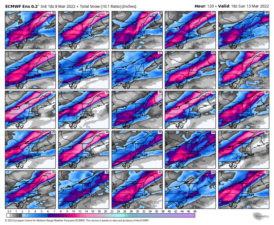 ecmwf-ensemble-avg-neng-snow_total_multimember_panel_ecmwf_b-7194400.thumb.png.6ad7f3bc6a2eba4589b9f8cfb26e1f0c.png