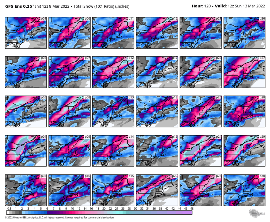 gfs-ensemble-all-avg-neng-snow_total_multimember_panel-7172800.thumb.png.5600dd5b5f87a4023c1beb5ebae385fe.png