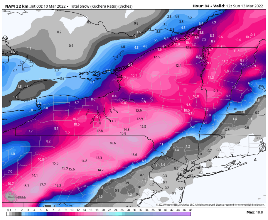 nam-218-all-nystate-total_snow_kuchera-7172800.thumb.png.3995477209ba74c30a2bacca3f0533fd.png