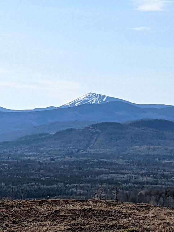 resize of sugarloaf.jpg