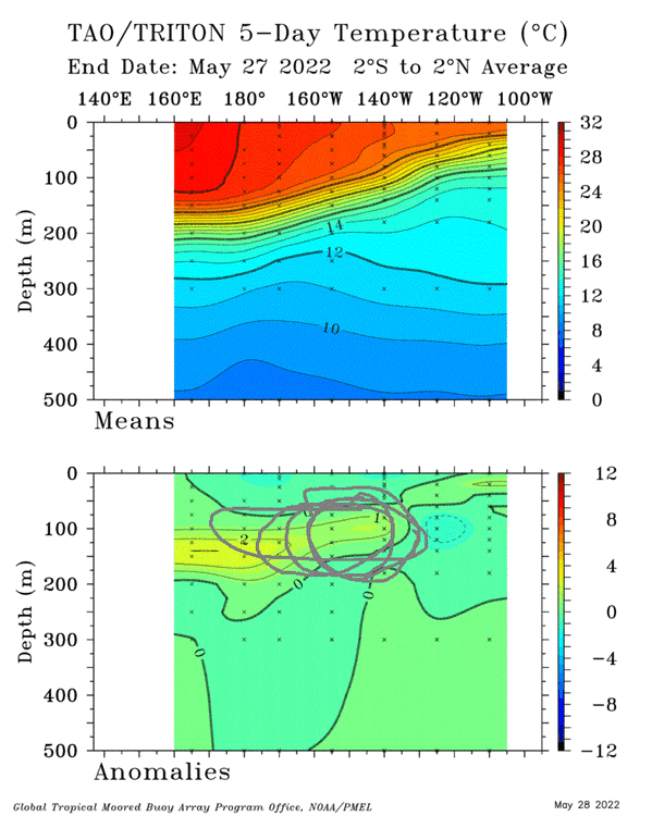 TAO_5Day_EQ_xz (4).gif