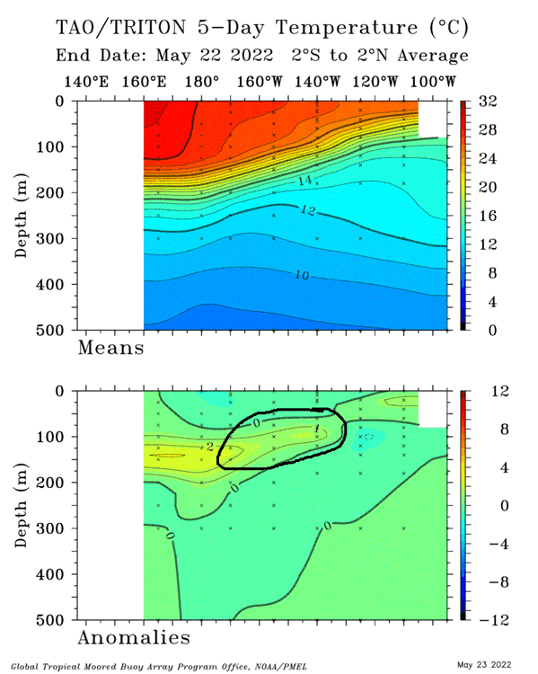 TAO_5Day_EQ_xz (3).gif