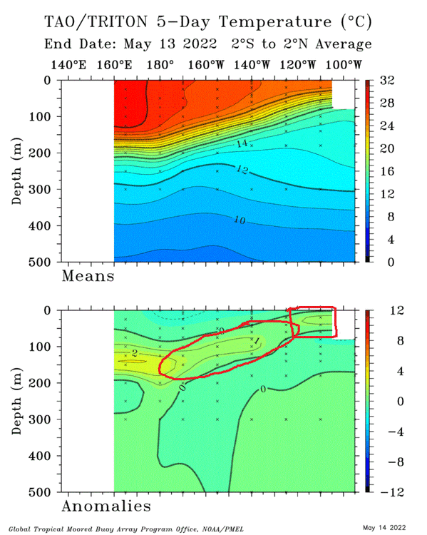 TAO_5Day_EQ_xz.gif