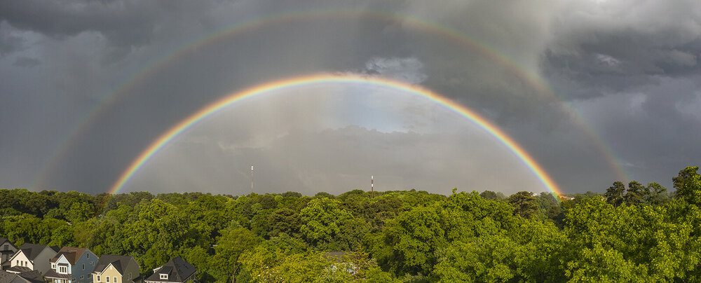 rainbow1-web.jpg