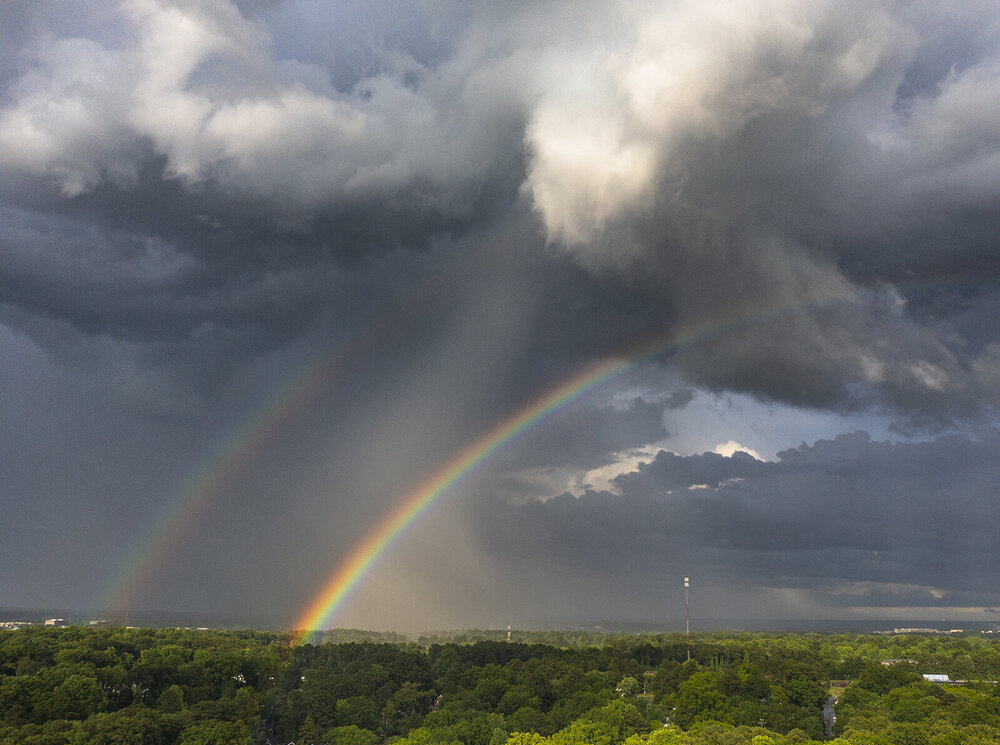 rainbow2-web.jpg