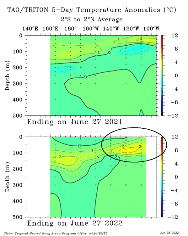 TAO_5Day_EQ_xz_Anom_Comp.gif