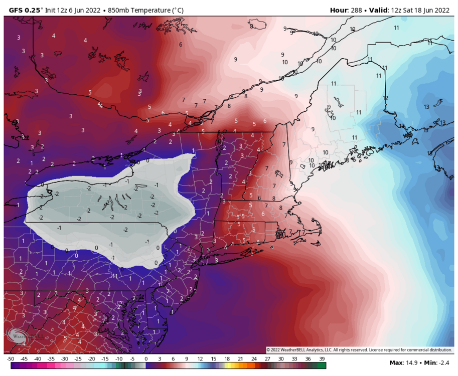 gfs-deterministic-neng-t850-5553600.png