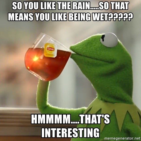 so-you-like-the-rainso-that-means-you-like-being-wet-hmmmmthats-interesting.jpg