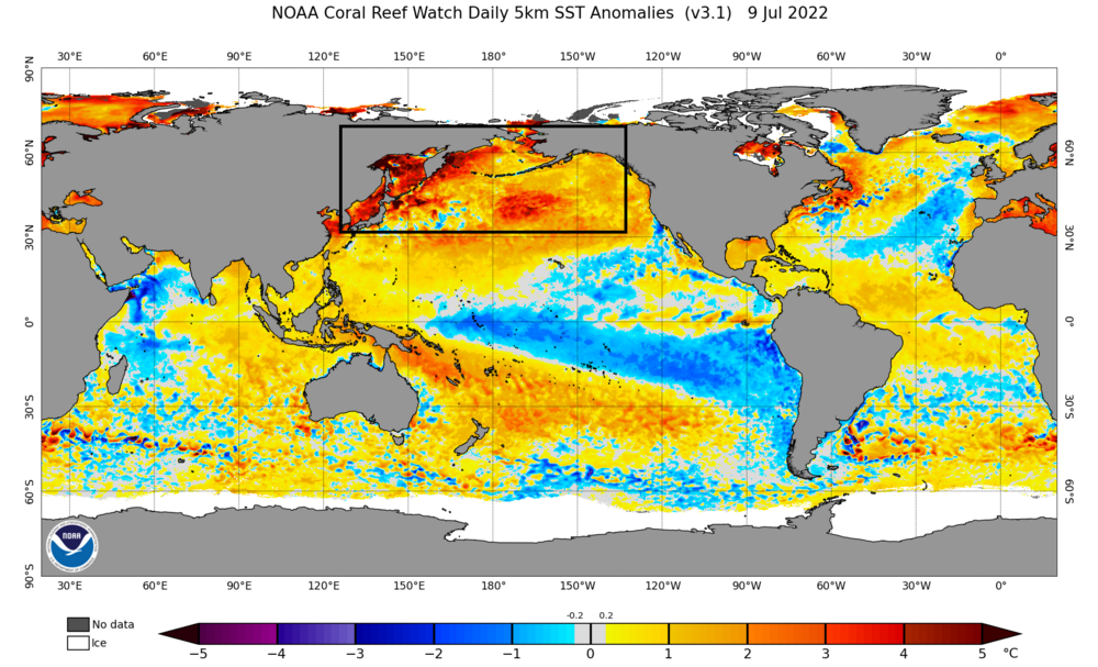 ssta.daily.current (2).png