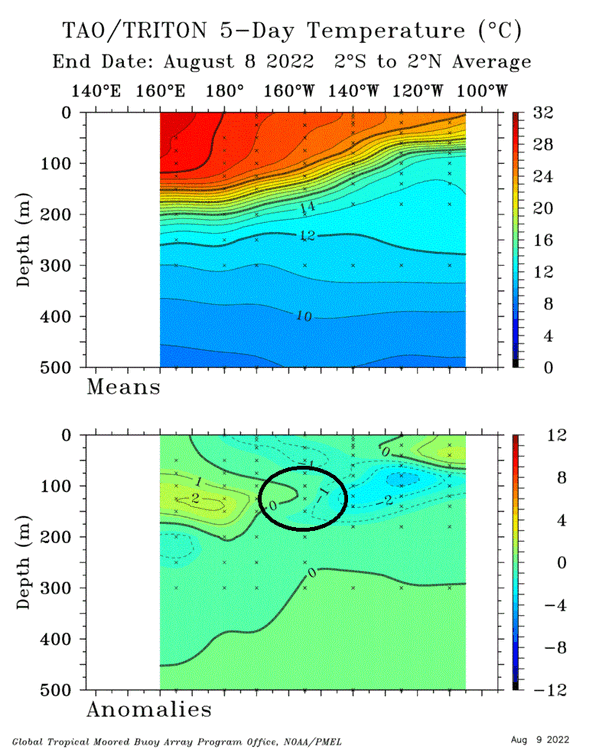 TAO_5Day_EQ_xz (1).gif