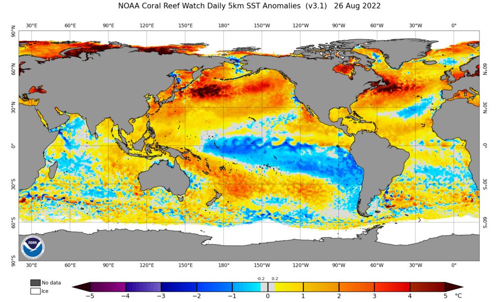 ssta.daily.current (3).png