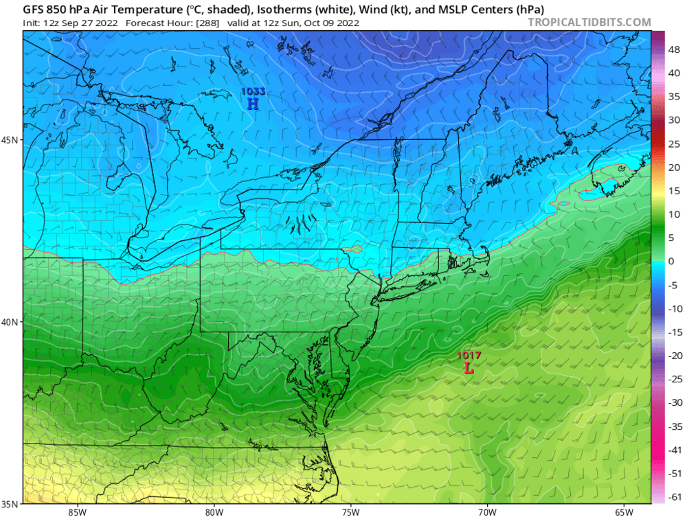 gfs_T850_neus_49.png