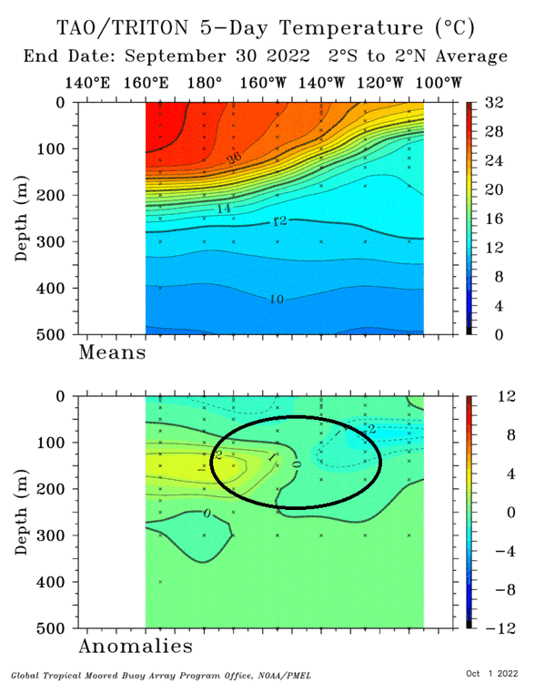 TAO_5Day_EQ_xz.gif