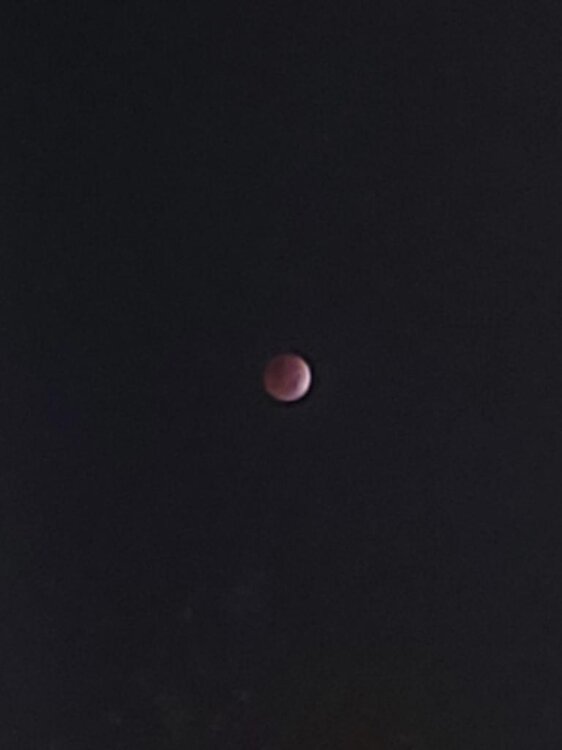 14370FD6-8767-4522-B248-B263635231E5.jpeg
