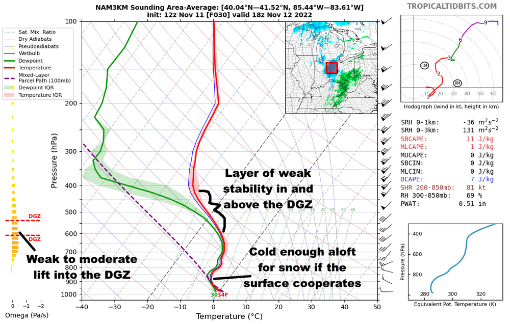 684250242_NAM3sounding.thumb.png.ac15355d04553ea347ba59f27cdbef50.png