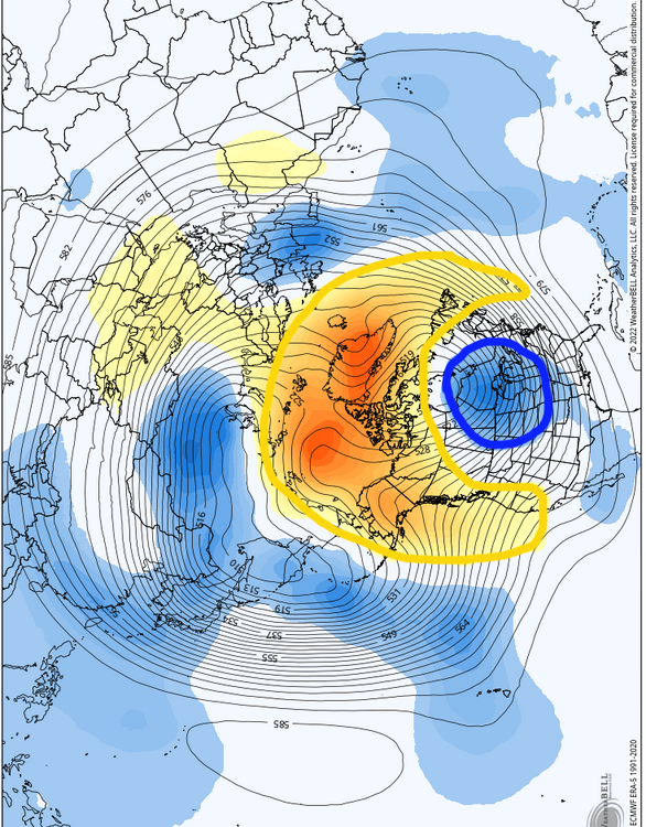 gfs-ensemble-all-avg-nhemi-z500_anom-1861600.thumb.png.2f066bedce3160e5c77bb9a4b6424d90.png