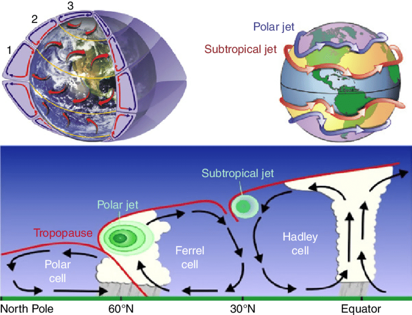 1-Global-wind-circulation-patterns-1-Hadley-cell-2-Ferrel-cell-3-Polar-cell.png.0cadfdaaea612ea155a9cadbcd9c06d5.png