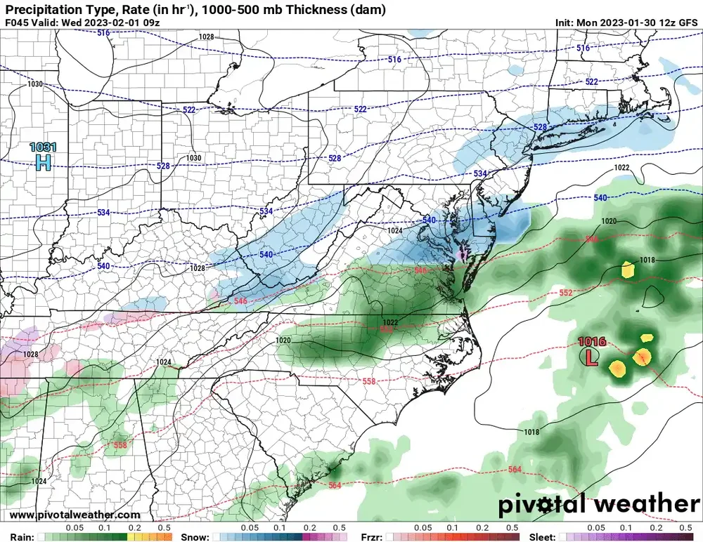 GFS Feb1.webp