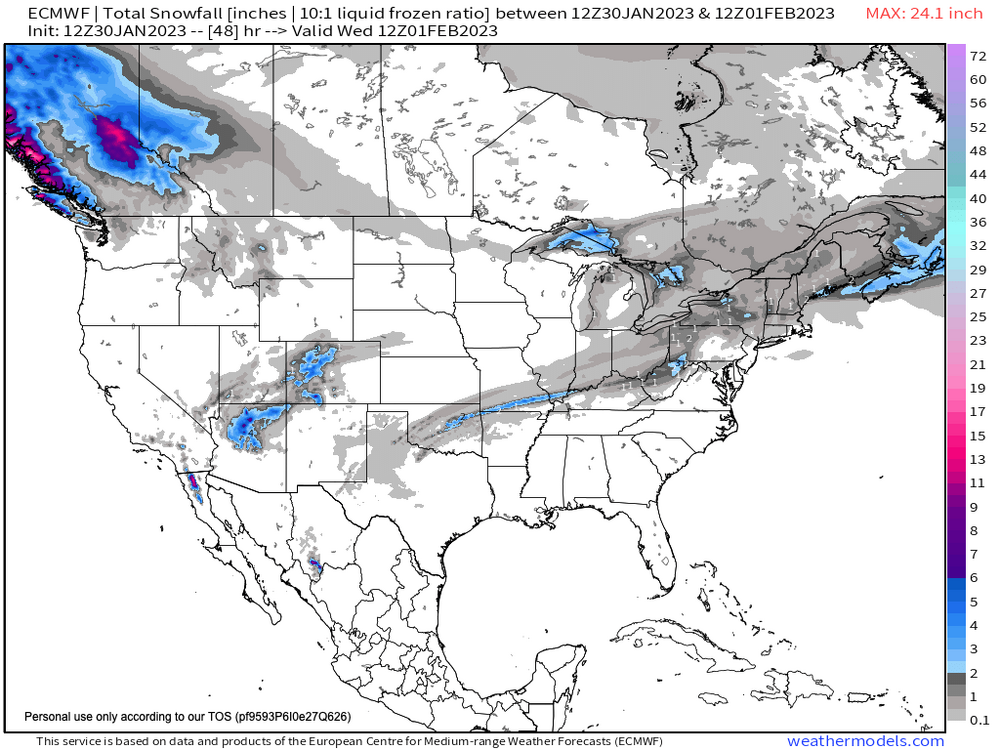 891200643_9-kmECMWFUSACitiesSnowfallSnowfall48.thumb.png.e460b18471aac7b31c7f23b095fe4da3.png