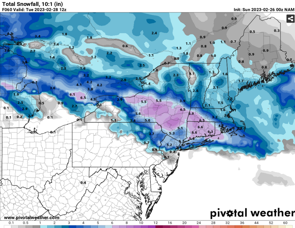 Screenshot 2023-02-25 at 21-34-27 Models NAM — Pivotal Weather.png