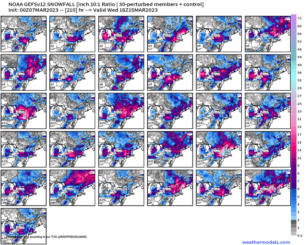 GEFS 31 Members Snowfall 31ensemble Snowfall 31ensemble 210.png