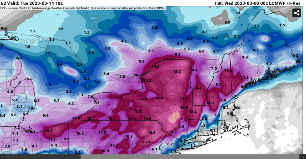 Screenshot 2023-03-08 at 01-40-13 Models ECMWF Hi-Res — Pivotal Weather.png