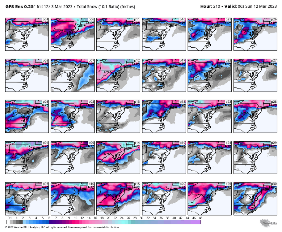 gfs-ensemble-all-avg-ma-snow_total_multimember_panel-8600800.png