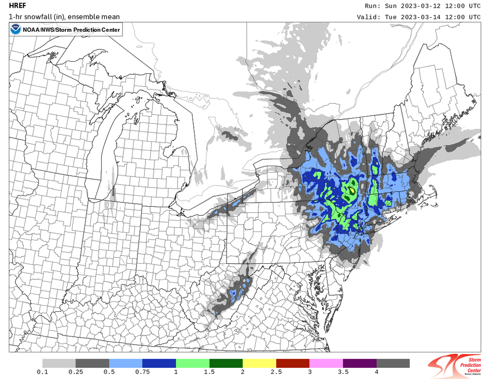 snowfall_001h_mean_ne.f04800.thumb.png.5b4e9952e1df5fb142c0bf621e83c46c.png