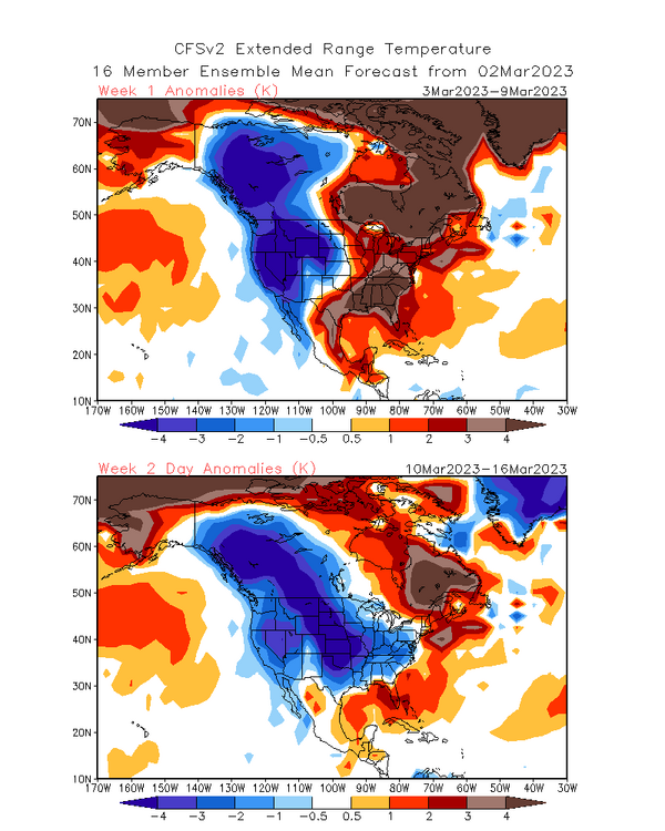 wk1.wk2_20230302.NAsfcT.thumb.png.4e24c8eb08c6cd4592e1afff2f1a57b7.png