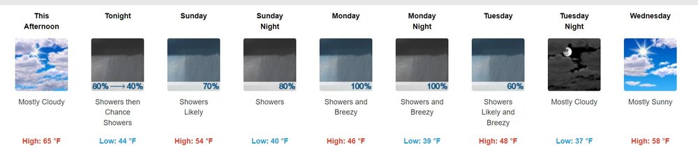 toledo forecast.jpg