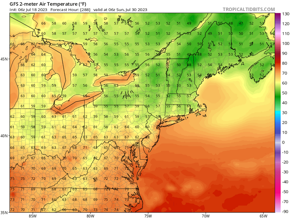 gfs_T2m_neus_49.png