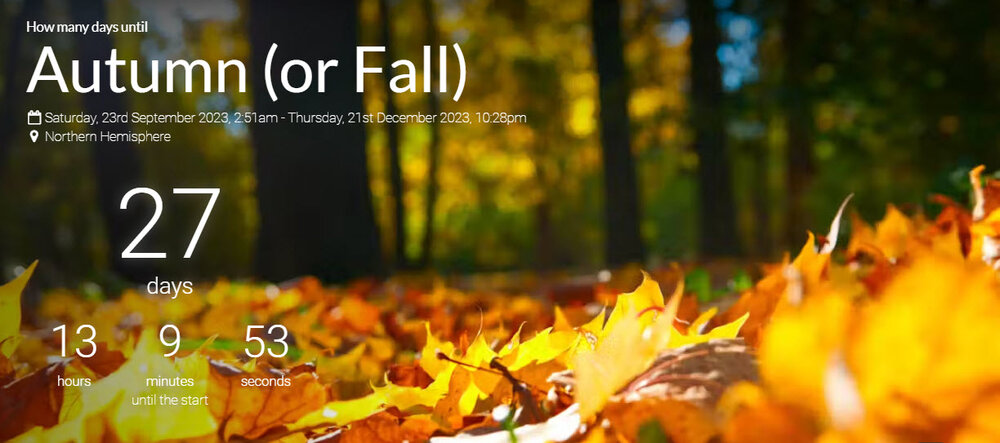 fall now.jpg