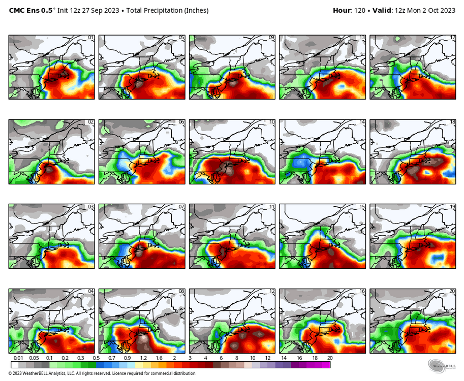 cmc-ensemble-all-avg-neng-precip_total_multimember_panel-6248000.png