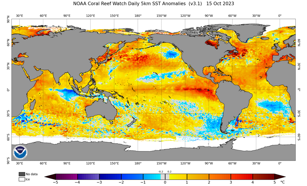 ct5km_ssta_v3.1_global_current.png