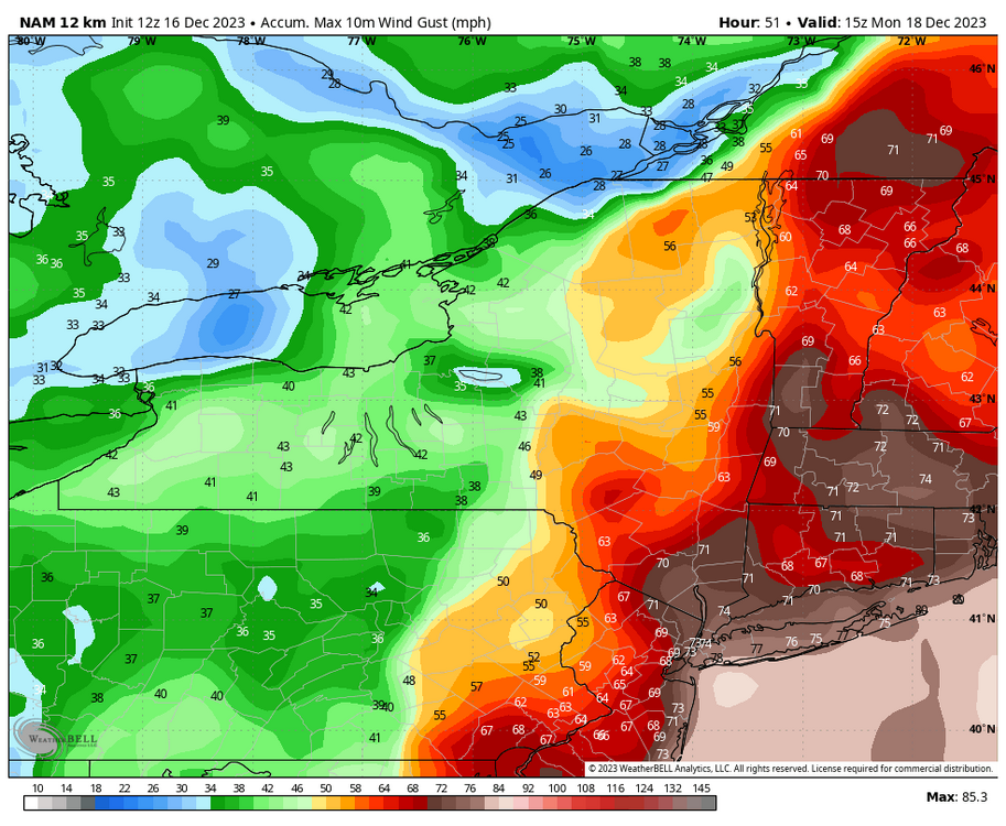 nam-218-all-nystate-gust_swath_mph-2911600.thumb.png.638d000d96ffc545691251091310ead2.png