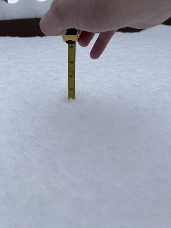 1108731024_snowmeasure.thumb.png.fa2483cabcfa0549b7d0da4455227544.png