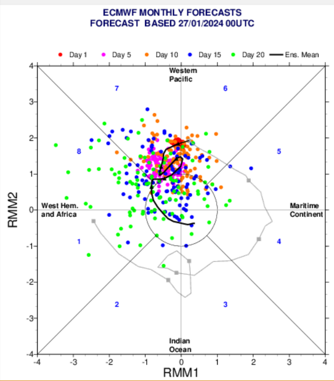 ECMWF-Charts (18).png