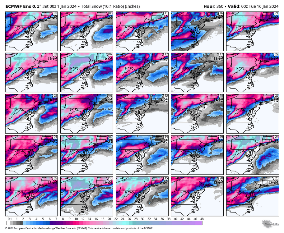 ecmwf-ensemble-avg-ma-snow_total_multimember_panel_ecmwf_a-5363200.thumb.png.b6ee8c686a9af9523c3ccfc54bbbd754.png