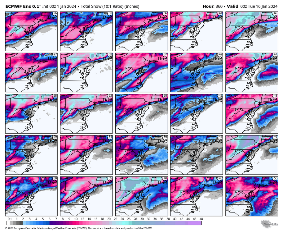 ecmwf-ensemble-avg-ma-snow_total_multimember_panel_ecmwf_b-5363200.thumb.png.e23f2ef3aa4602d49069f07b6ae0aab5.png