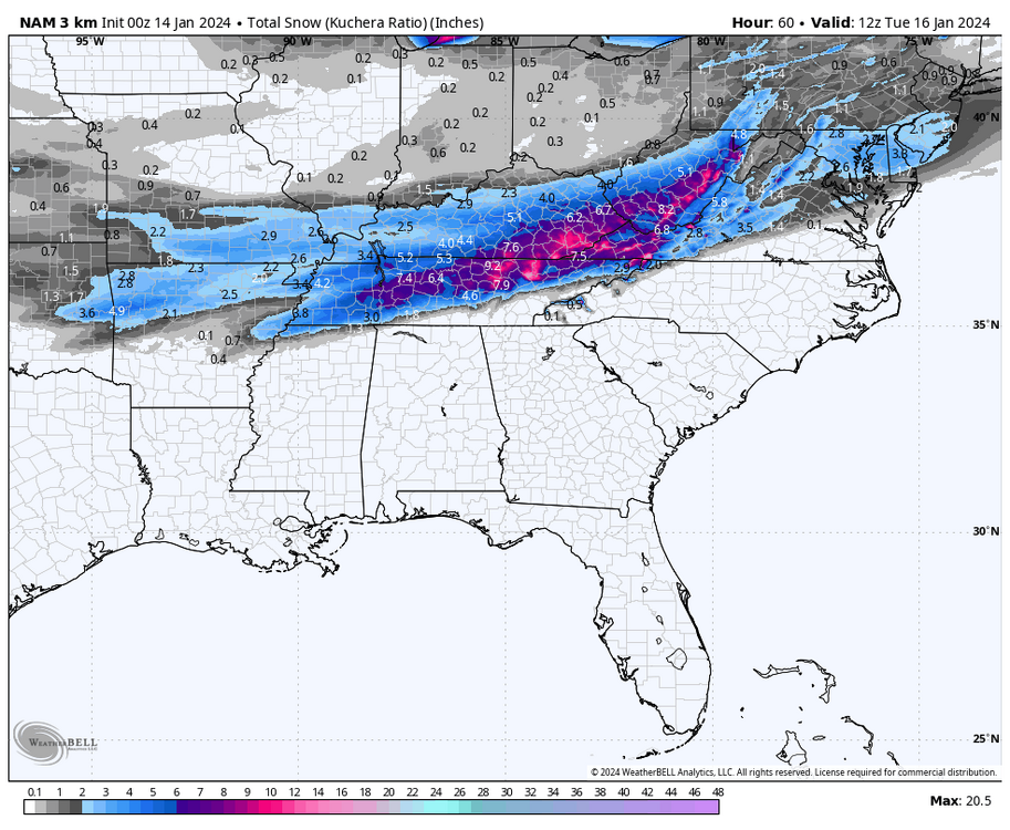 nam-nest-se-total_snow_kuchera-5406400.png